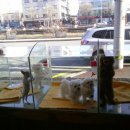 땡구야놀자 이미지