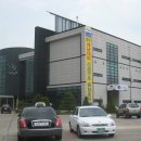 정천인삼 티스토리