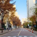 대신롯데캐슬아파트경로당 네이버블로그
