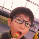 벧엘농장3 이미지