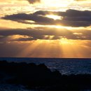 오시리아 이미지