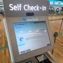 747 | 대한한공 인천공항 터미널 기내식 미국 LA 입국 심사 후기