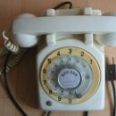 조군농장 | 四字成語 총정리 &lt;ㅂ&gt; 167 백색유약~백석인종