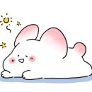 베라바디테라피 이미지
