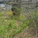 예산읍수철리보건진료소 이미지