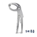 MS리빙