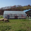 입동목장 이미지