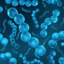 마이크로바이오텍 이미지