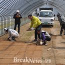 장천시장 이미지