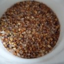 와포햇살 영농조합법인 이미지