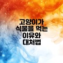 독사랑동물병원 이미지
