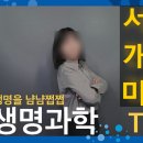 원앙캠핑장 | 벚꽃 내음을 손 안에 담으면