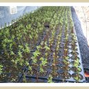 태훈농장 이미지