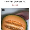 상훈집 네이버블로그
