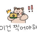 신흥 브레이커 이미지