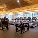 팀 터틀랫 해운대장산 이미지