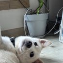 네이처나루