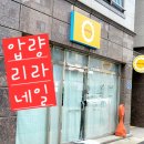 리라네일 이미지