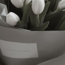 잇츠밤비 이미지