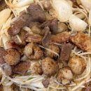 서울고깃집 이미지