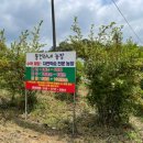 동건농장 이미지