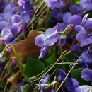 신구대학교부속치과의원 | 치과 갈 때마다 쫄보 되는 나 드디어 인생 치과 찾았다