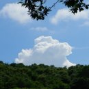 구름나그네 이미지