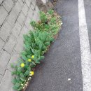 서변경로당 이미지