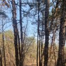 새춘천주유소 이미지