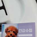 캣츠앤독스동물병원