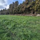 구유목장 이미지