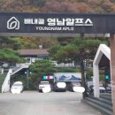 알프스 행정사 사무소 이미지