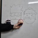 호리울농장 | 250330