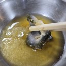 충무상회 | [서문시장맛집 충무상회] 신선한해산물 서문시장 낮술