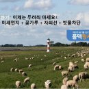 인성태권도 이미지