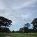포스시티 | 클락 에어포스 시티 골프장 18홀 후기 🏌️‍♂️