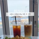 파로드시랑 이미지