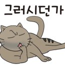 서울덮밥 이미지