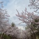 (주)보담 네이버블로그