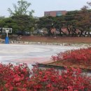 솔밭쉼터 이미지