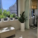 성모가정의학과의원 이미지