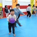 국가대표 용인대박사태권도장 이미지
