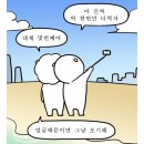 [남해여행] 반려동물 동반가능 숙소 ‘아난티남해’ 펜트하우스 1박2일 방문후기