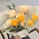 스튜디오에스 이미지