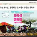 자라섬 캠핑장 이미지