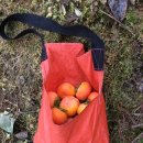 봉곡농장 이미지