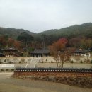 권*정