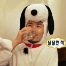 담필름 이미지