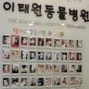 웰리스 동물병원 이미지