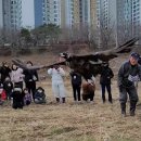 울산광역시 야생동물구조관리센터 이미지